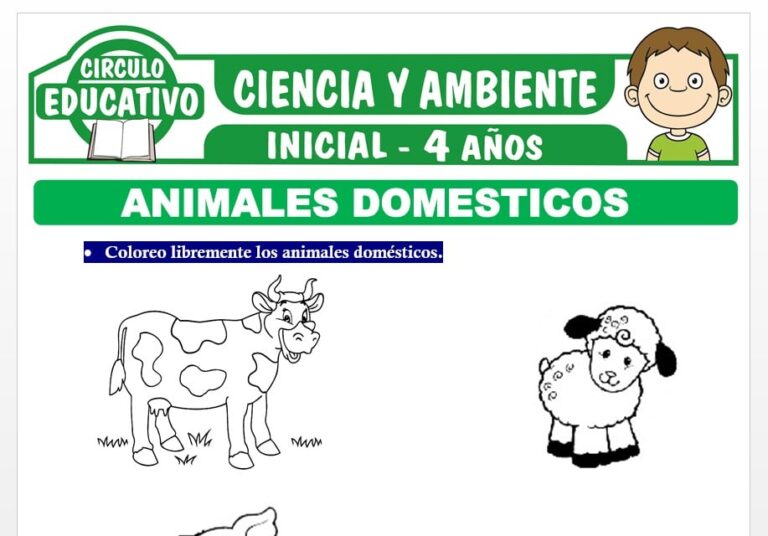Animales Domésticos para Niños de Cuatro Años – Fichas GRATIS
