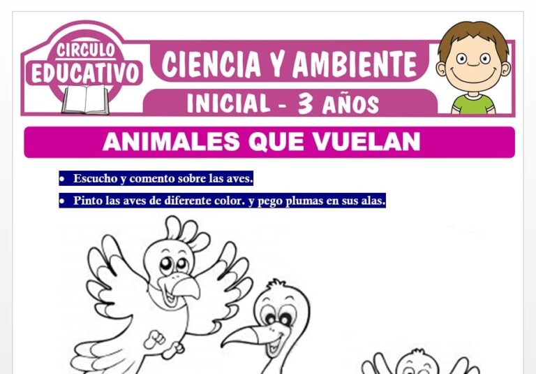 Animales que Vuelan para Niños de Tres Años – Fichas GRATIS