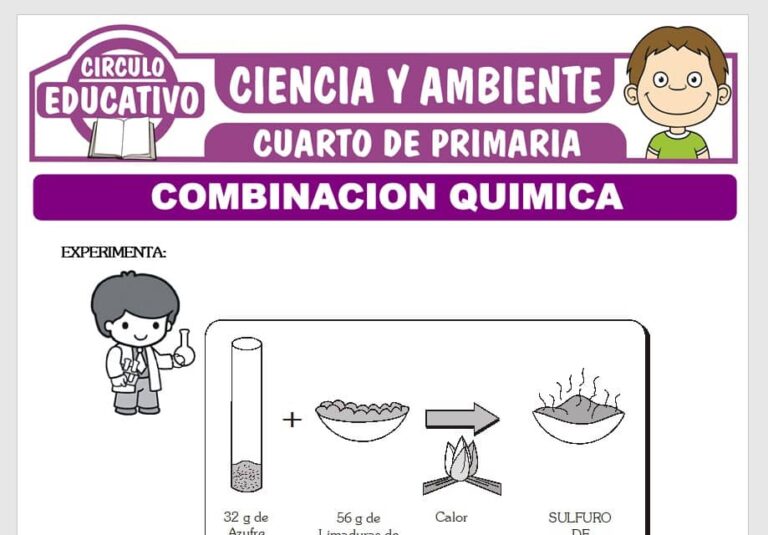 ᐈ Ciencia y Ambiente para Cuarto de Primaria – 16 Fichas GRATIS