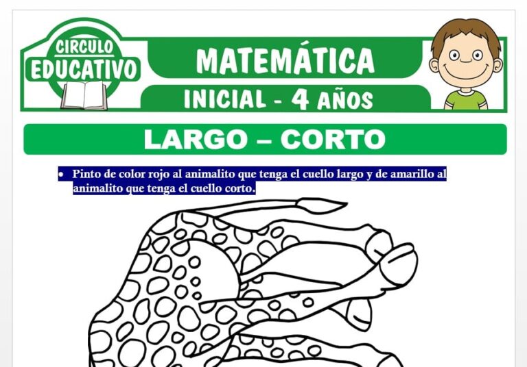 Corto y Largo para Niños de Cuatro Años – Fichas GRATIS