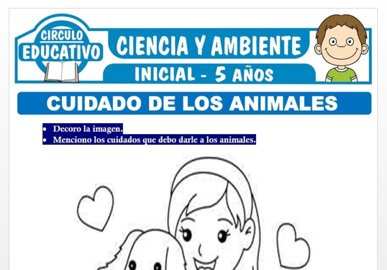 Cuidado de los Animales para Niños de Cinco Años – Fichas GRATIS