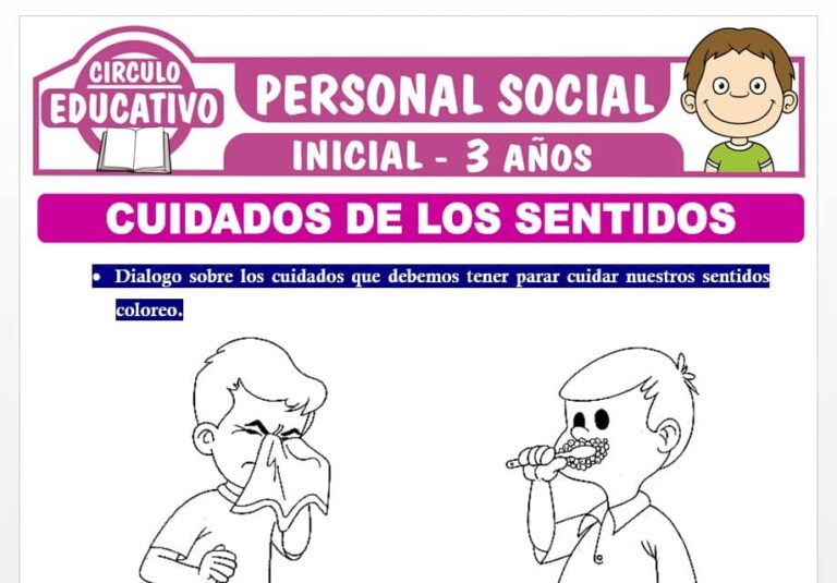 Cuidados de los Sentidos para Niños de Tres Años – Fichas GRATIS