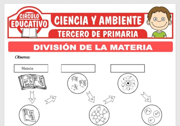 División de la Materia para Tercero de Primaria – Fichas GRATIS