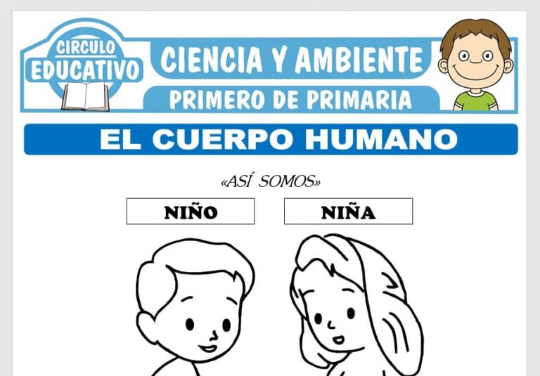 El Cuerpo Humano para Primero de Primaria – Fichas GRATIS