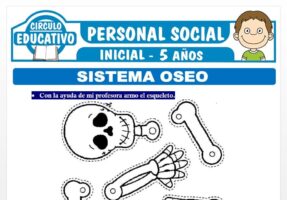 azienda consultazione anagrafica ditta guida