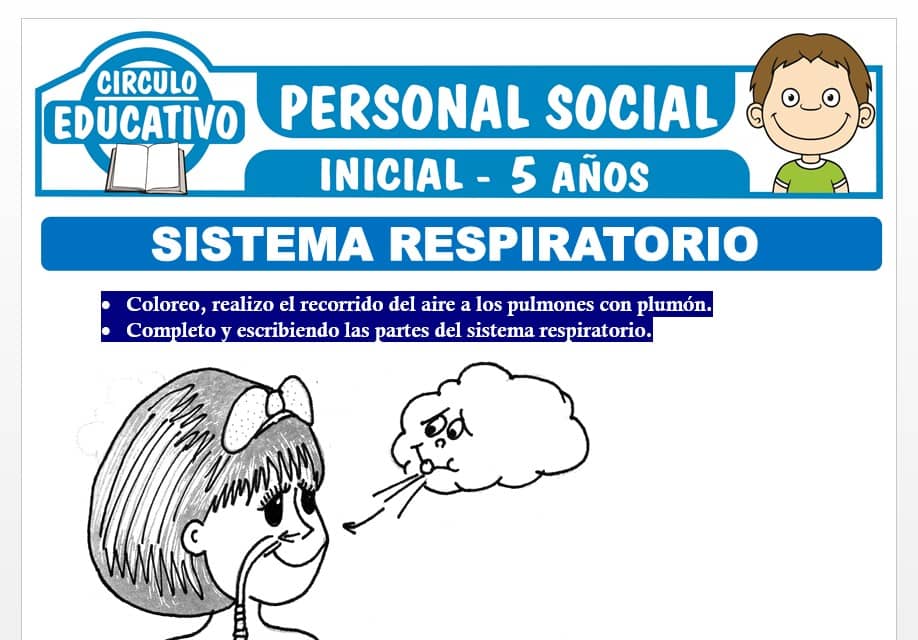El Sistema Respiratorio para Niños de Cinco Años