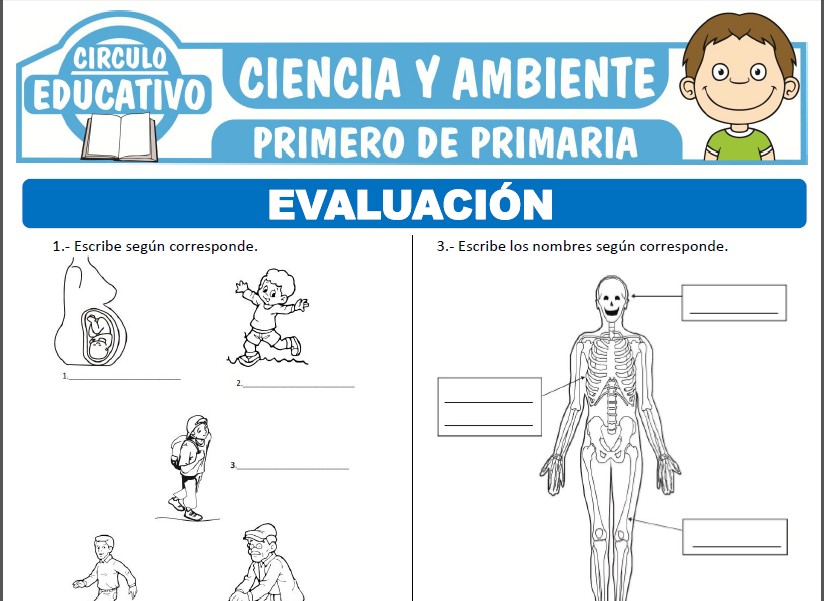 Evaluación de Ciencia y Ambiente para Primero de Primaria