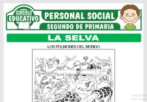 La Selva para Segundo de Primaria – Fichas GRATIS