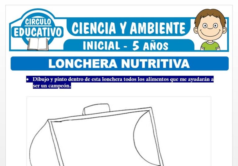 Lonchera Nutritiva para Niños de Cinco Años – Fichas GRATIS