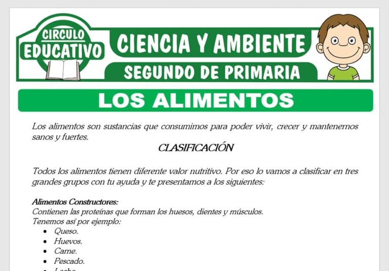 Los Alimentos y su Clasificación para Segundo de Primaria – GRATIS