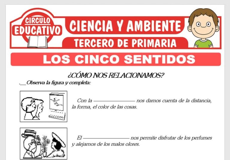ᐈ Ciencia y Ambiente para Tercero de Primaria – 20 Fichas GRATIS