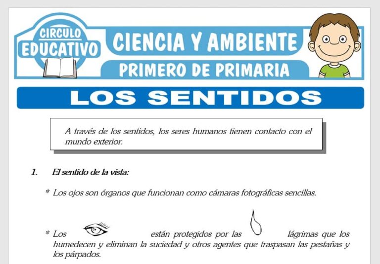 Los Sentidos para Primero de Primaria – Fichas GRATIS