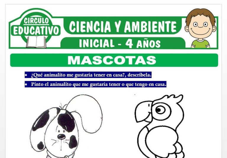 Mascotas para Niños de Cuatro Años Fichas GRATIS
