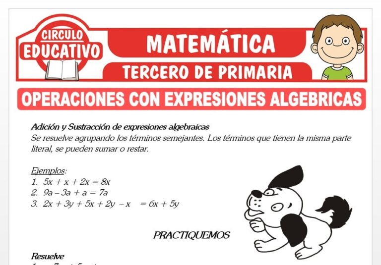 Operaciones con Expresiones Algebraicas para Tercero de Primaria ...
