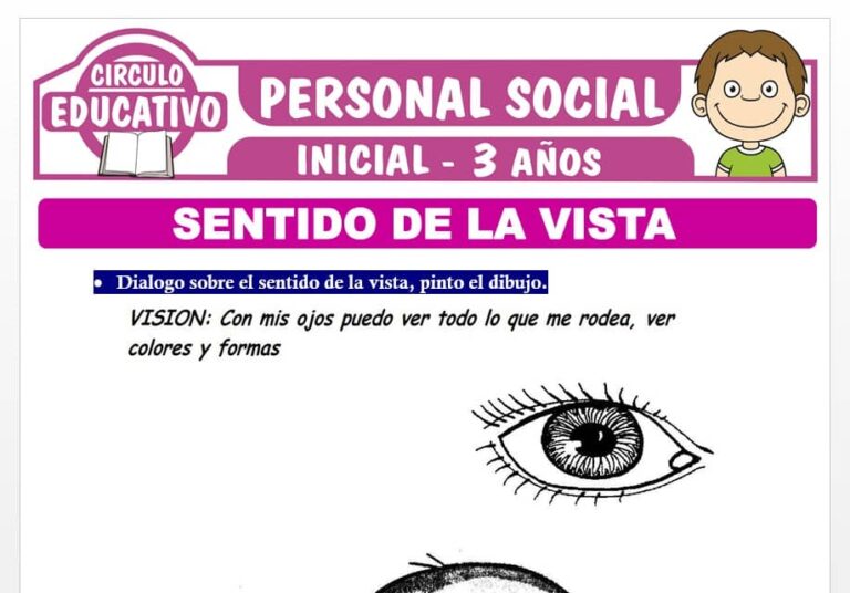 Actividades Del Sentido De La Vista circuloeducativo.com
