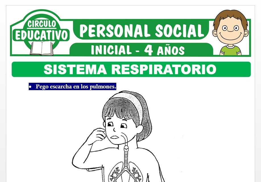 Sistema Respiratorio para Niños de Cuatro Años
